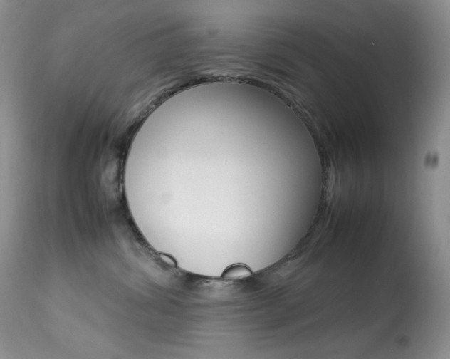X0000113640428200909181334