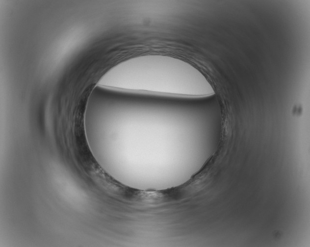 X0000113640429200909181334