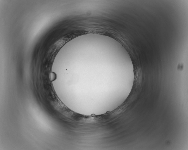 X0000113640430200909181333
