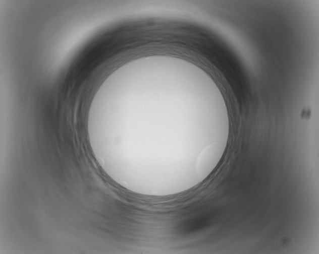 X0000113640431200909181333
