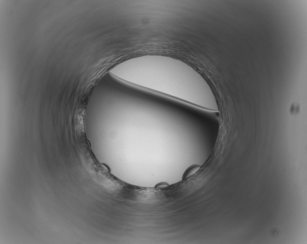X0000113640432200909181333