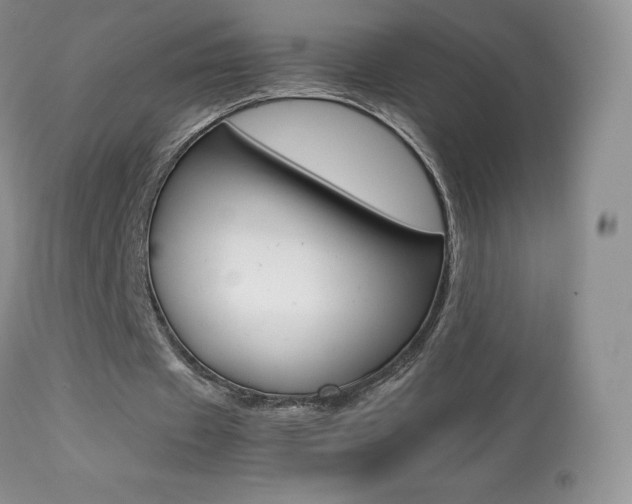 X0000113640433200909181333