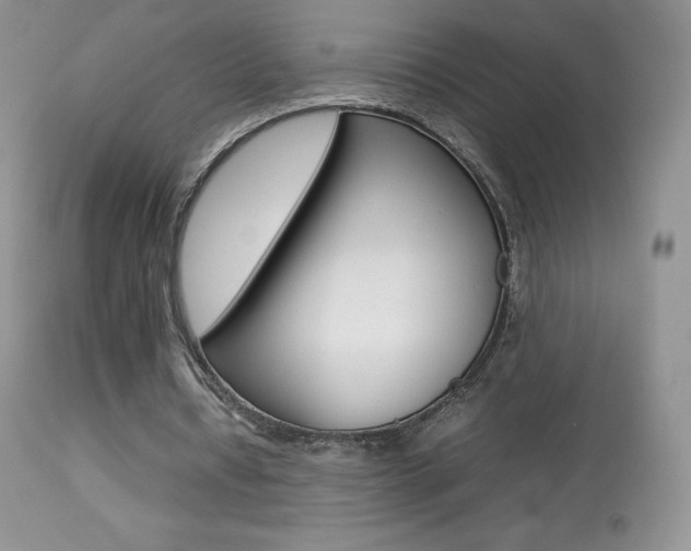 X0000113640434200909181333