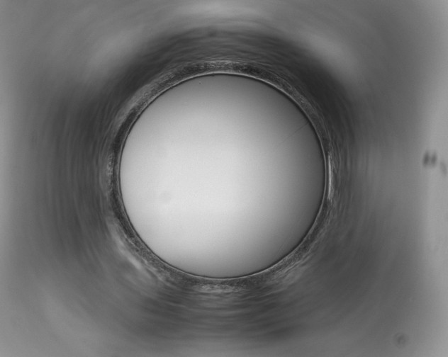 X0000113640435200909181333