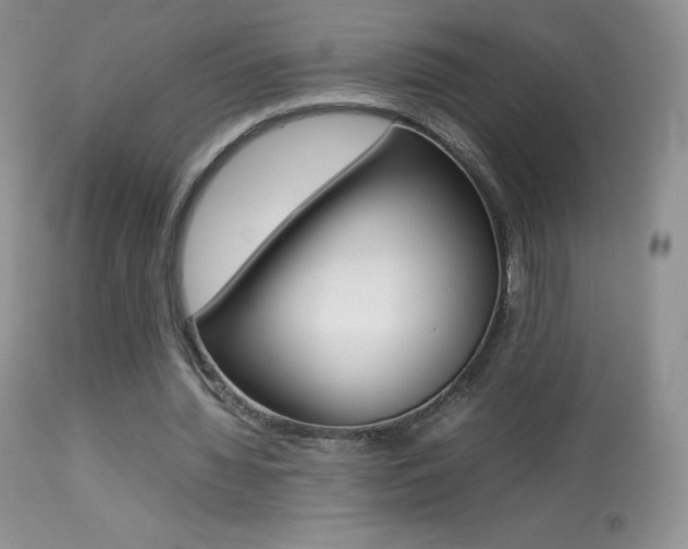 X0000113640436200909181333