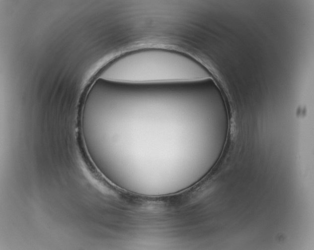 X0000113640438200909181333