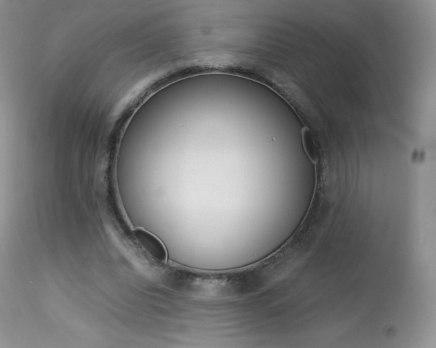 X0000113640440200909181333