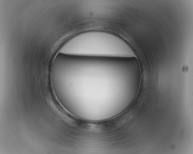X0000113640442200909181333