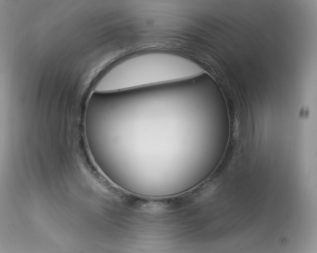 X0000113640444200909181333