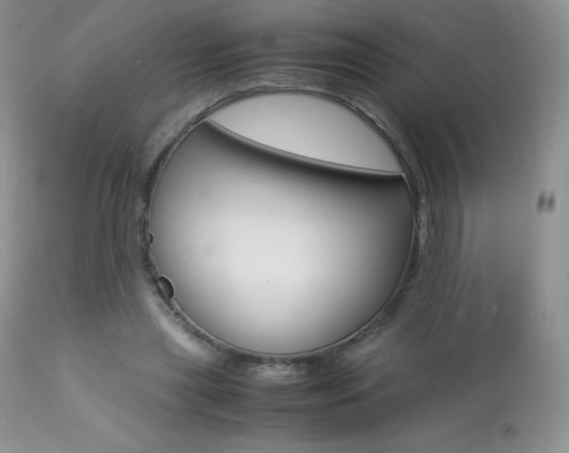 X0000113640445200909181333
