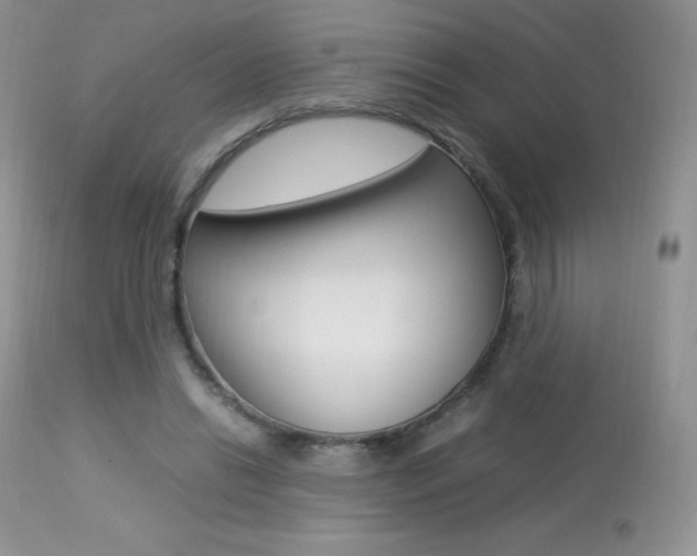 X0000113640446200909181333