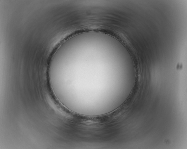 X0000113640447200909181333
