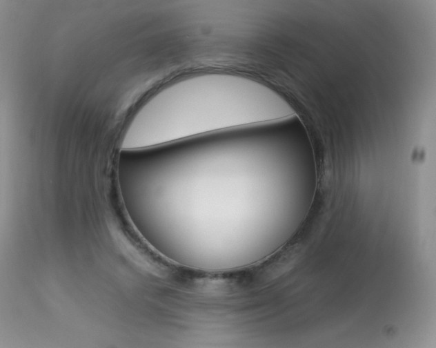 X0000113640448200909181333