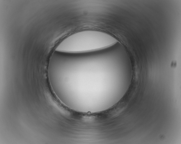 X0000113640450200909181333