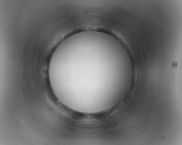 X0000113640451200909181333