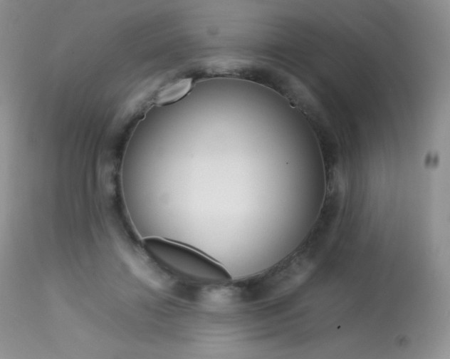 X0000113640452200909181333