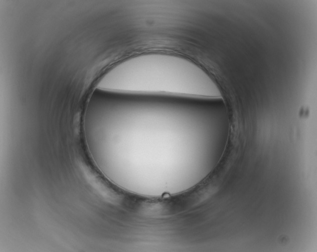 X0000113640454200909181333