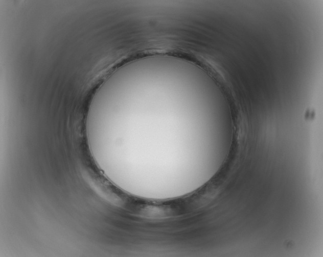 X0000113640455200909181333