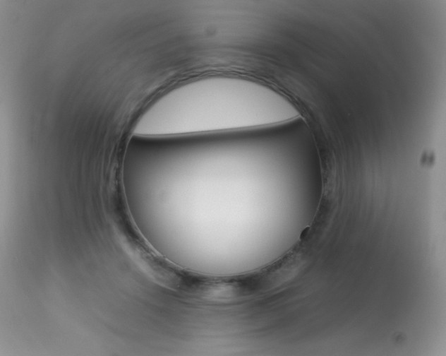 X0000113640456200909181333