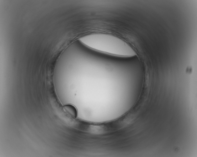 X0000113640457200909181333