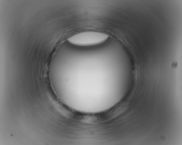 X0000113640458200909181333