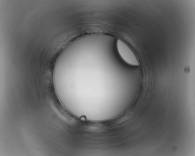 X0000113640459200909181333