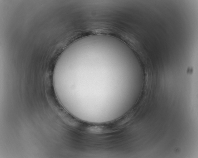 X0000113640461200909181333
