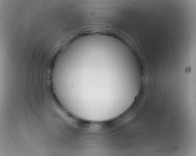 X0000113640462200909181333