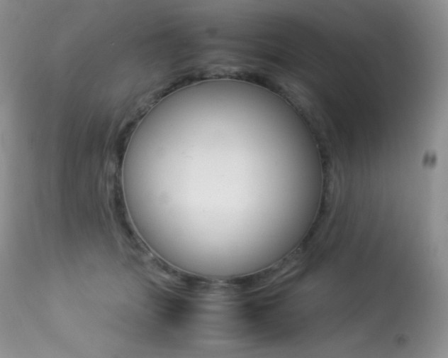 X0000113640463200909181333