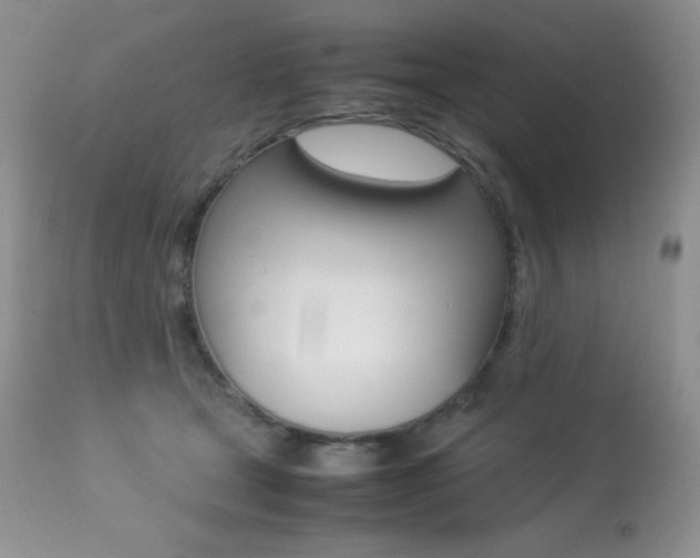 X0000113640465200909181333