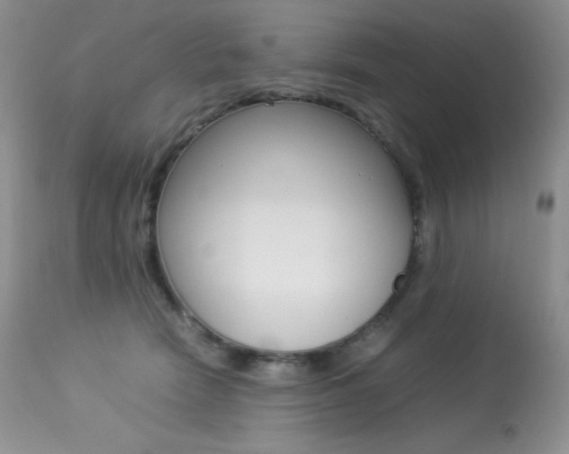 X0000113640466200909181333