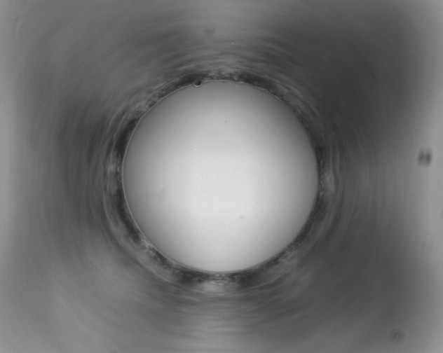 X0000113640468200909181333