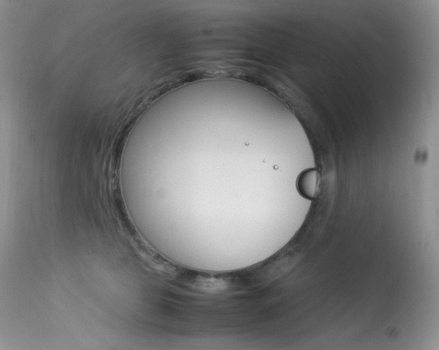 X0000113640469200909181333