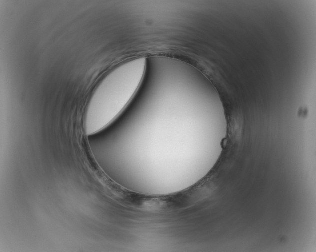 X0000113640470200909181333