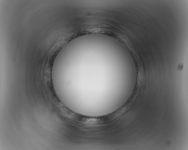 X0000113640473200909181333