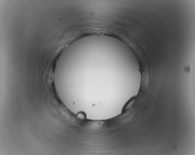 X0000113640474200909181333