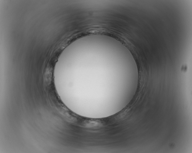 X0000113640475200909181333