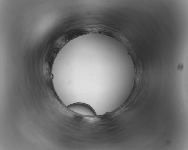X0000113640477200909181333