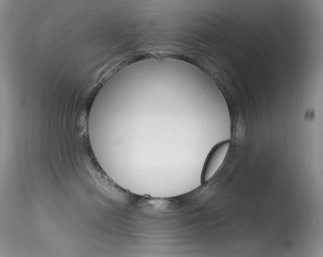 X0000113640478200909181333