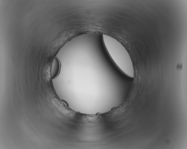 X0000113640479200909181333