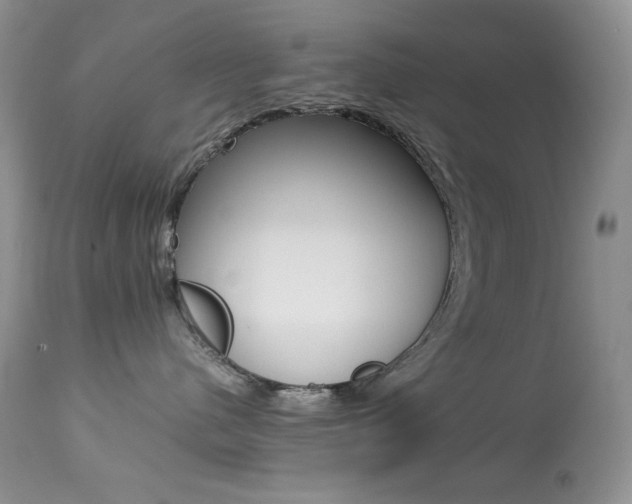 X0000113640480200909181333