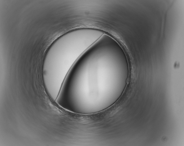 X0000113640481200909181333