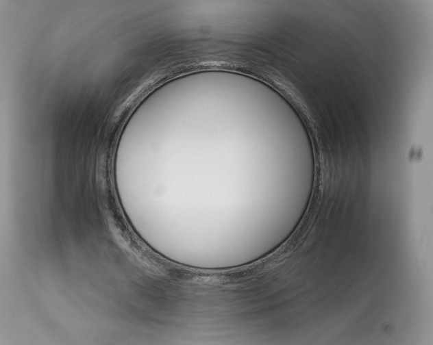 X0000113640482200909181333