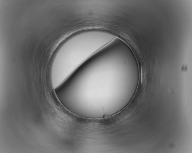 X0000113640483200909181333