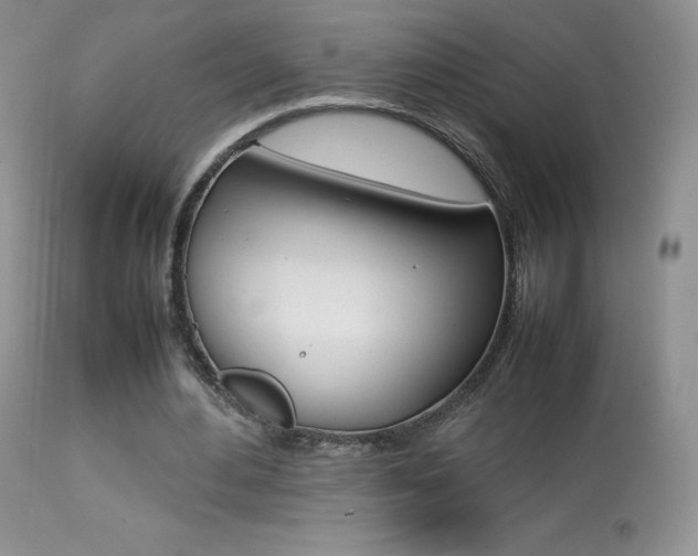 X0000113640484200909181333