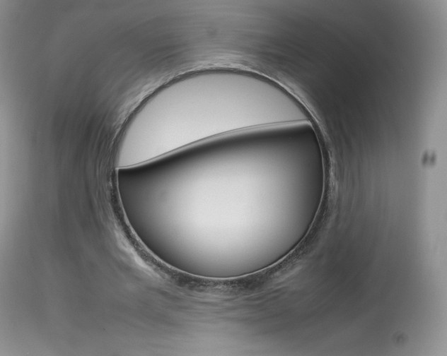 X0000113640485200909181333