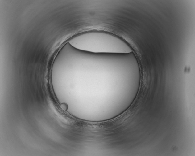 X0000113640486200909181333