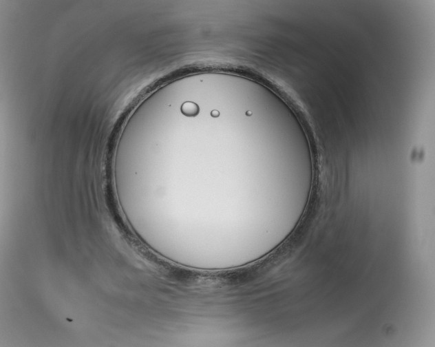 X0000113640487200909181333