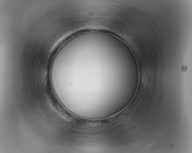 X0000113640488200909181333