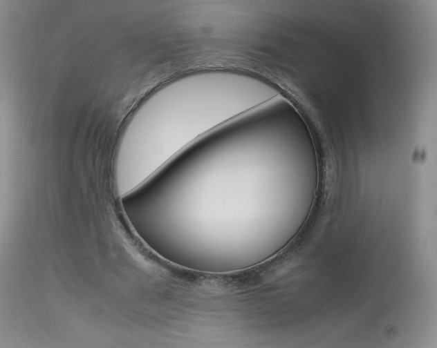 X0000113640489200909181333